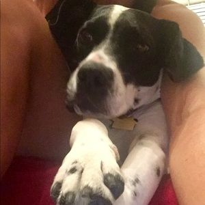 Meet your Posher, Avery